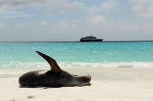 ECWGL - Baltra Island, Galápagos, Ecuador - PC to TR Davis.jpg Photo